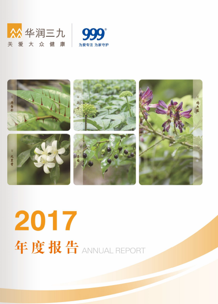 win必赢：2017年年度汇报